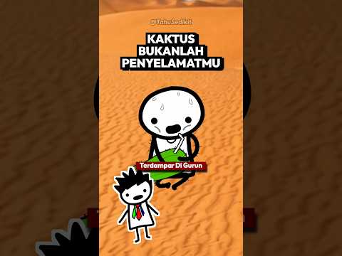 Bisakah Kaktus Menyelamatkanmu? 🌵