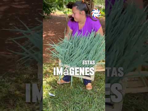 De la chacra a tu mesa | Gobernador Roca