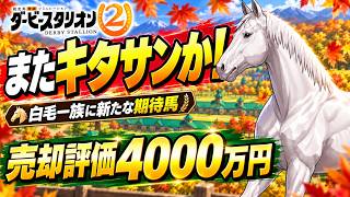 【ダビスタ2】またキタサンブラックか！白毛一族に新たな期待馬が出た【育成ライブ】