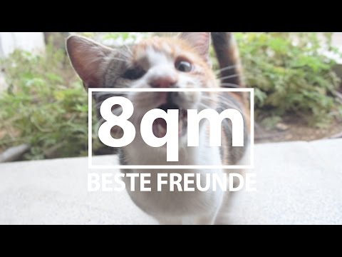 2 Freunde mit 3 Augen. | 8qm