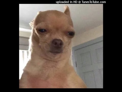 Binky the Slinky - IMMA SHIT MY PANTS