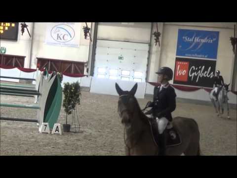 Chippo 1.25 @ NY jumping De Warre (Chippendale Z x Faust Z; Gelding 2009)