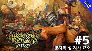 드래곤즈 크라운 프로 #5화 망자의 성 지하 묘소 [4K로 돌아온 명작!][Dragons's Crown Pro][도쨩]
