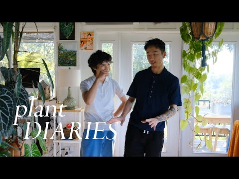 Plant Diaries | hanging w/JiaHao, botanical garden (plant sale), calm days