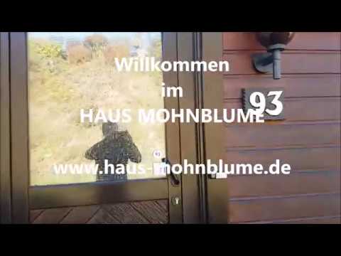 Haus Mohnblume im Herbst 2018