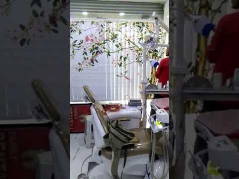 Window Blinds