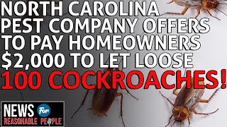 North Carolina Pest Company Will Pay You $2,000 to Let 100 Cockroaches Loose in Your Home