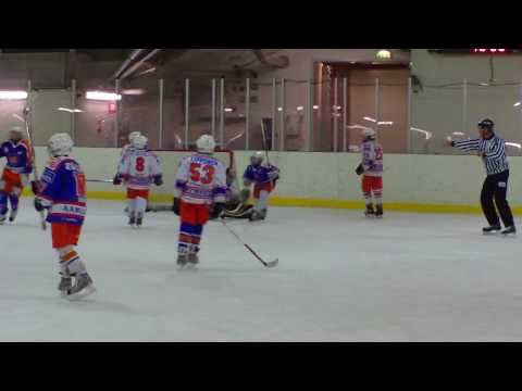 Tappara Fortius - Tappara Forum 31.1.2010 A