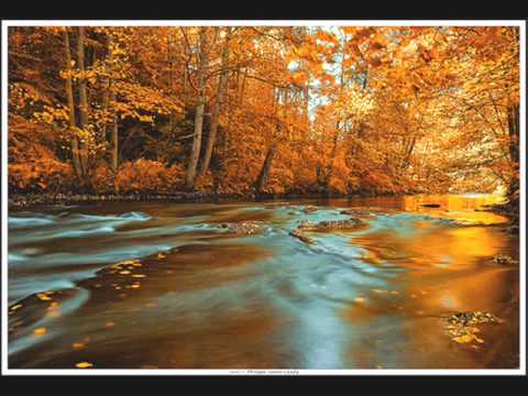 Dreams Of Love No 3 In Piano