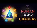 The Human Body Chakras Hindi Quick Support