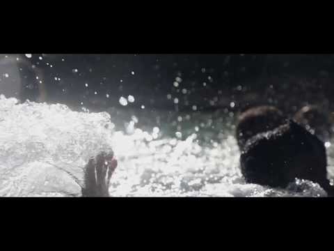 Annuki x Gritsey - Change