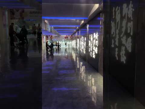 Passo a passo do Aeroporto Internacional de Taiwan Taoyuan #youtubeshorts #travel