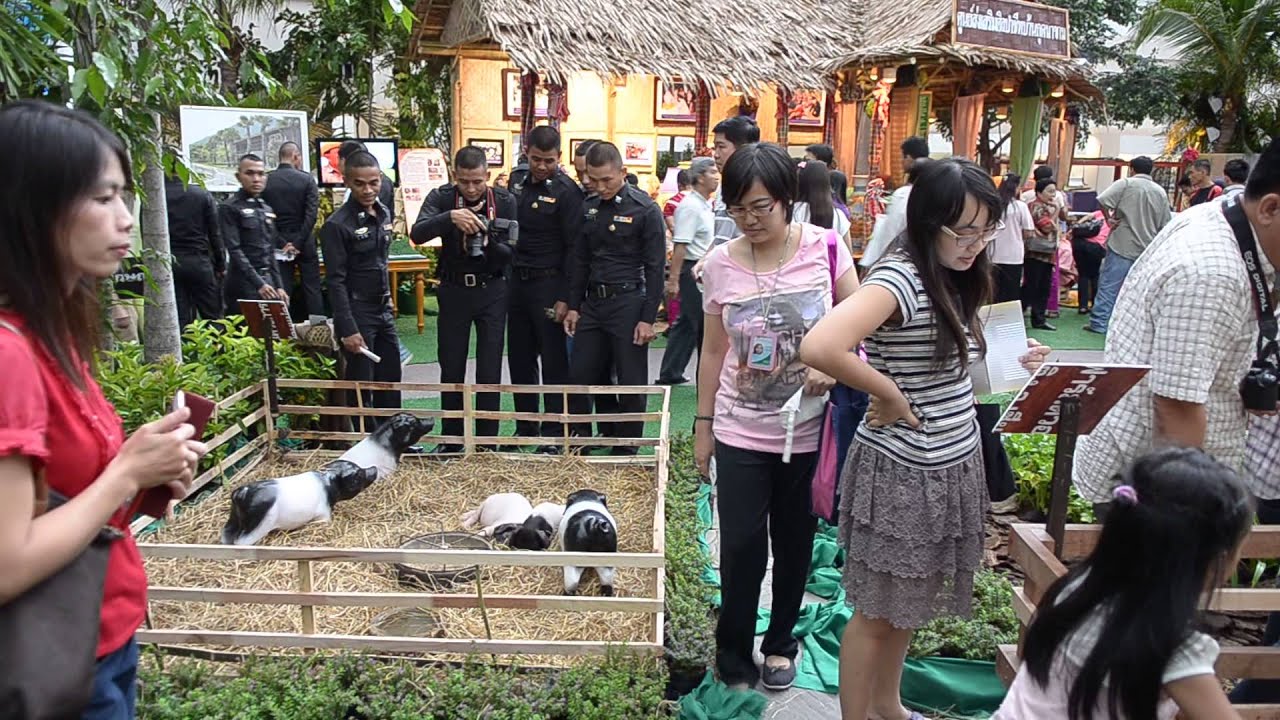 โครงการฟาร์มตัวอย่างตามพระราชดำริบ้านแม่ตุงติง