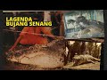 Kisah Lagenda BUJANG SENANG Sang Buaya Pembaham Manusia