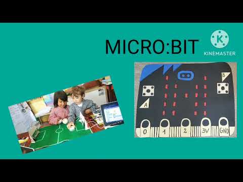 Proyecto 2023 Esc 47 Los Rosano