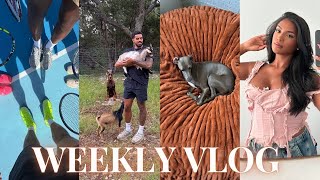 WEEKLY VLOG ♡ (productive week in texas, cleaning, shopping, farm animals, landscaping!!+)