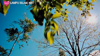 Download lagu Hanan Attaki, Lc Bikin Nangis ! Allah Itu Baik Banget Sama Kita mp3 Download lagu Hanan Attaki, Lc Bikin Nangis ! Allah Itu Baik Banget Sama Kita mp3