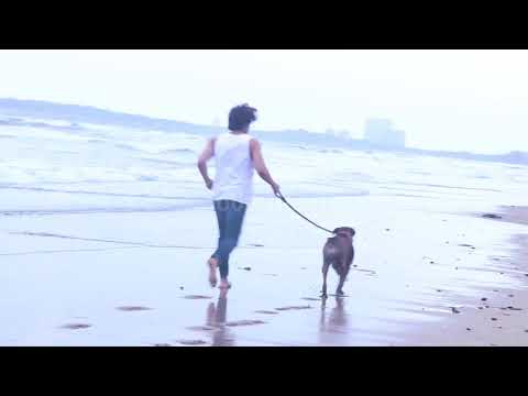 Gurmeet Choudhary Spotted With His Doggy Day Juhu Beach