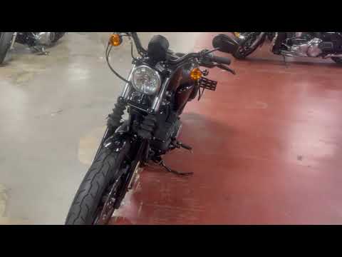 2019 Harley-Davidson Iron 883™ in New London, Connecticut - Video 1