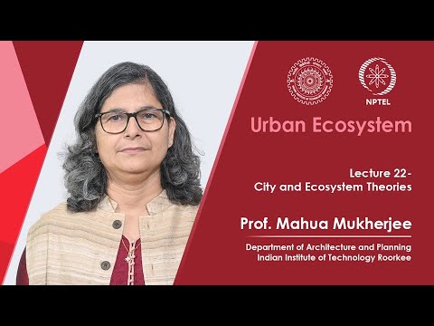 Lecture 22: City and Ecosystem Theories