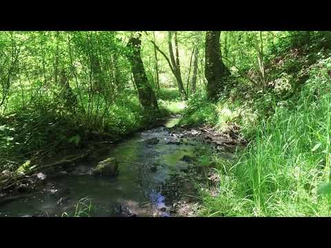 Natursteig Sieg Etappe 3 - Blankenberg bis Merten