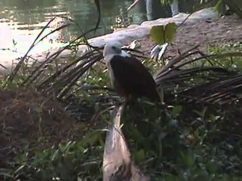 Divine Mercy Spiritual Healing Resort