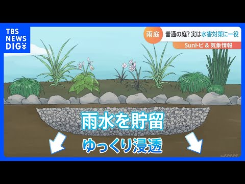 庭で雨水を利用するための 5 つのヒント