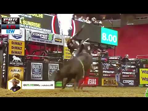 ESPIRITO SELVAGEM-LEANDRO BALDISSERA