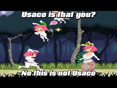 Echidna Wars DX but all monster-girls are copying Usaco (1)