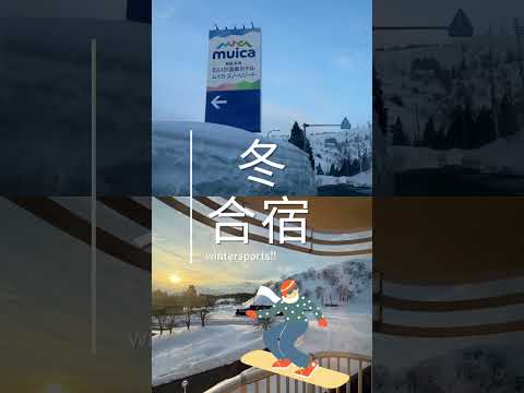 【#城西大学】卒業アルバム編集委員会紹介動画　#卒業アルバム編集委員会 #新入生