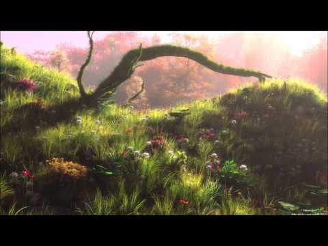 539 Limited - Through Time (Extended Version)