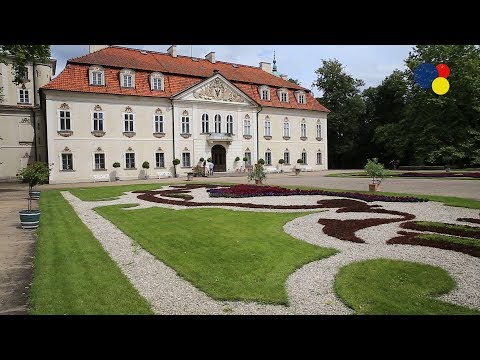 Obrazek filmu youtube