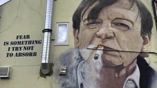 ladybird (green grass)