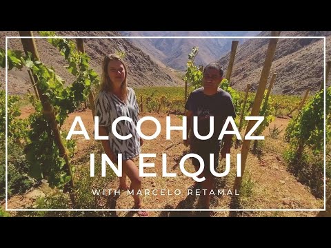 The distinctive terroir of Viñedos de Alcohuaz with winemaker Marcelo Retamal