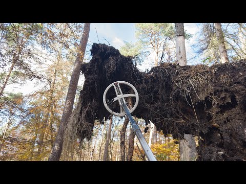 When Christmas Comes Early... Metal Detecting With A Stunning Find!