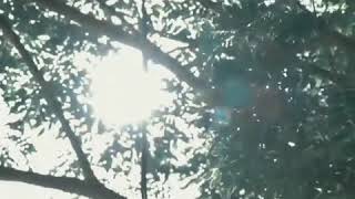 Download lagu Story wa persebaya mp3