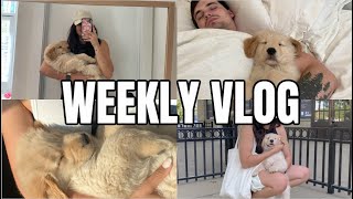 WEEKLY VLOG: first WIML married with a puppy + getting adjusted into a new routine + crate training