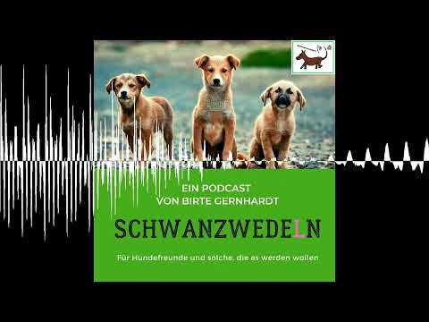 89 Vier Pfoten - Schwanzwedeln