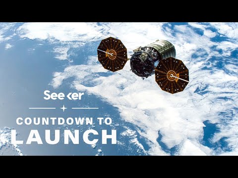 為什麼國際空間站將接受蟲子和葡萄汁的實驗？ (Why the ISS Will Be Receiving Experiments With Worms and Grape Juice)