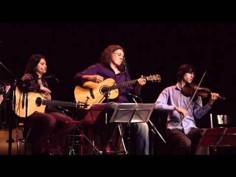 Linard Bardill - Mues immer de plogeti Hansli si! - live im Volkshaus Zürich