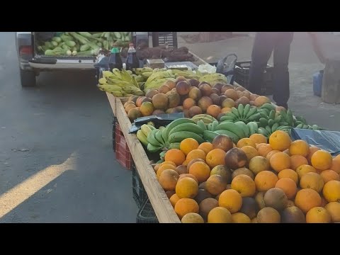 ACORDEI ÀS 4H DA MANHÃ PARA IR À FEIRA COM MEU PAI 😍 | Vlog na cidade pequena