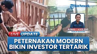 Peternakan Modern Ala Gen Z Dilirik Investor, Pemuda Bangkalan Panen Cuan Kambing Kurban