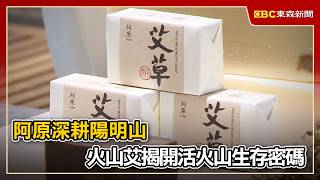 阿原深耕陽明山 火山艾揭開活火山生存密碼