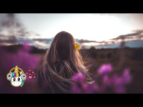 tofû x Vil - Already Know (feat. glasscat)