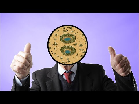 How to play Oasis - Age of Mythology