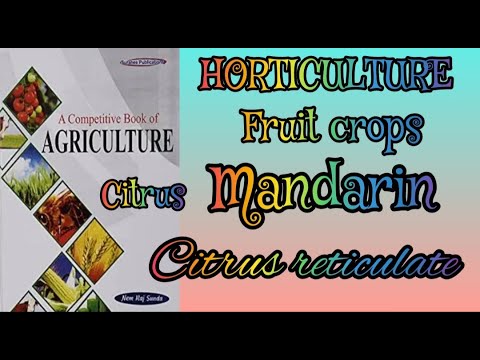 MANDARIN - CITRUS FRUIT | HORTICULTURE - NEMRAJ SUNDA | LECTURE MONDAY - Enjoy & Learn with Shalvi
