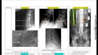 Dr.Mahmoud Sewilam, Rapid Radiological Revision