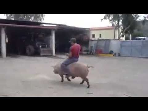 Guardi imballano la pelle grossa di un tempo Comprare il dispositivo per la persona per ringiovanimento