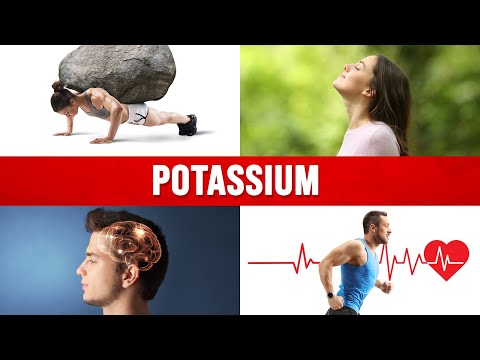 Calcium and Magnesium Absorption Basics – Dr Berg