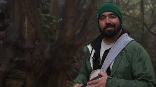 Foraging for and Preparing Bay Laurel Nuts with Brooks Schmitt